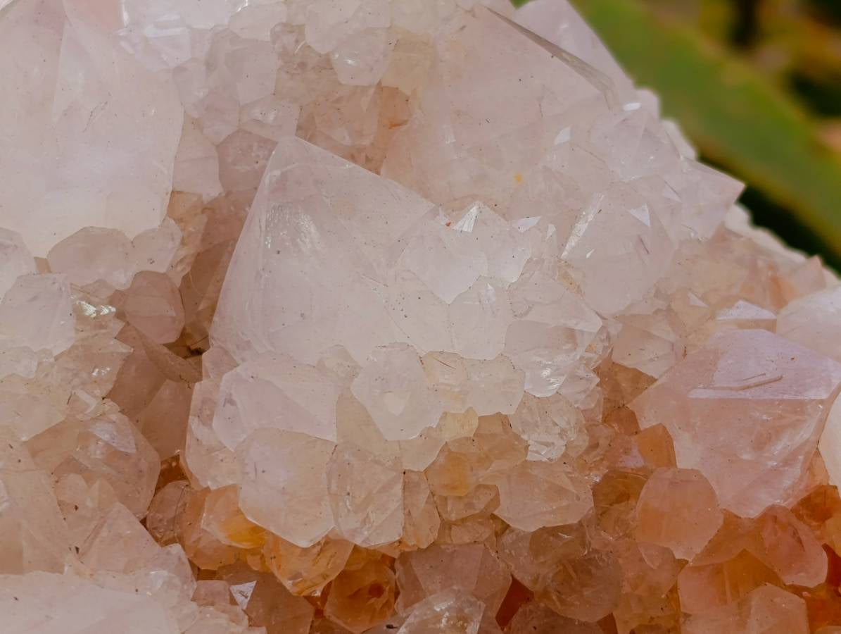 Natural White Spirit Quartz Cluster x 1 From Boekenhouthoek, South Africa - Toprock Gemstones and Minerals 