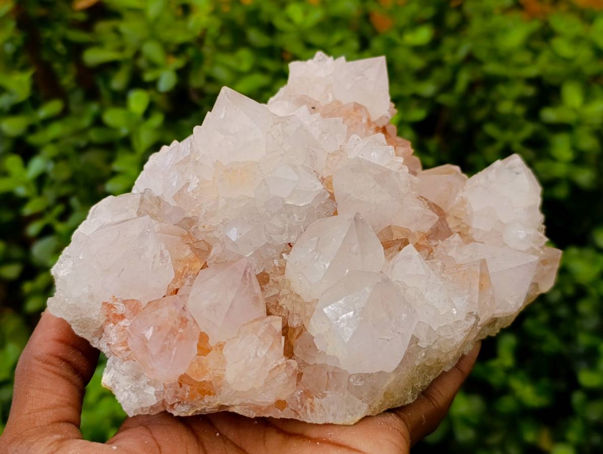 Natural White Spirit Quartz Cluster x 1 From Boekenhouthoek, South Africa - Toprock Gemstones and Minerals 