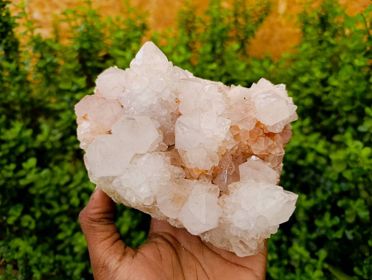 Natural White Spirit Quartz Cluster x 1 From Boekenhouthoek, South Africa - Toprock Gemstones and Minerals 