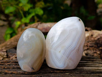 Polished Banded Agate Standing Free Forms x 6 From Madagascar