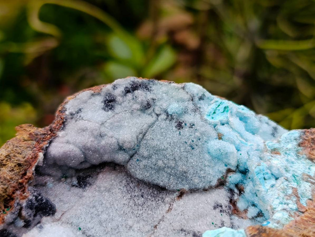Natural Drusy Coated Chrysocolla With Heterogenite On Copper Dolomite x 1 From Lupoto Mine, Congo - Toprock Gemstones and Minerals 