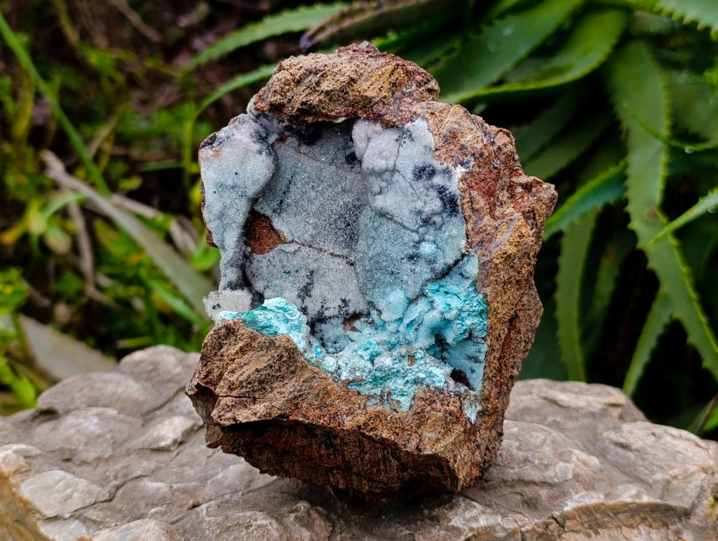 Natural Drusy Coated Chrysocolla With Heterogenite On Copper Dolomite x 1 From Lupoto Mine, Congo - Toprock Gemstones and Minerals 