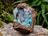Natural Drusy Coated Chrysocolla With Heterogenite On Copper Dolomite x 1 From Lupoto Mine, Congo
