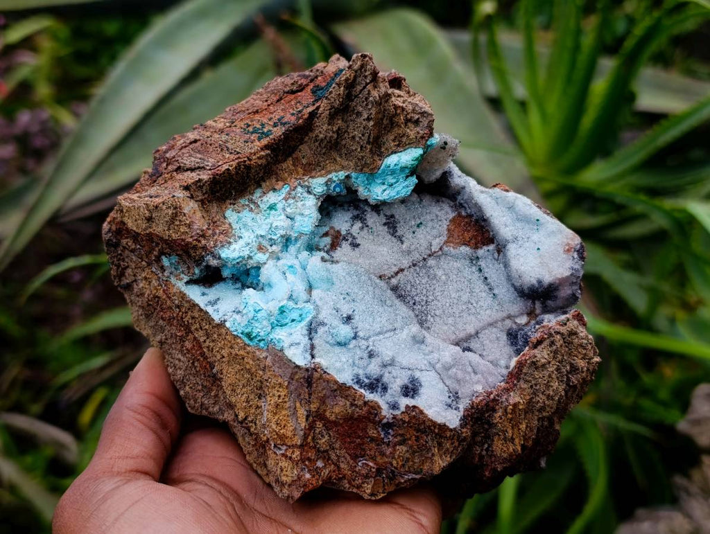 Natural Drusy Coated Chrysocolla With Heterogenite On Copper Dolomite x 1 From Lupoto Mine, Congo - Toprock Gemstones and Minerals 