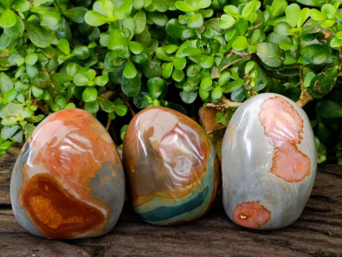 Polished Polychrome Jasper Standing Free Forms x 3 From NW Coast, Madagascar - Toprock Gemstones and Minerals 