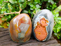 Polished Polychrome Jasper Standing Free Forms x 3 From NW Coast, Madagascar