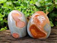 Polished Polychrome Jasper Standing Free Forms x 3 From NW Coast, Madagascar