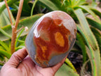 Polished Polychrome Jasper Standing Free Forms x 3 From NW Coast, Madagascar - Toprock Gemstones and Minerals 