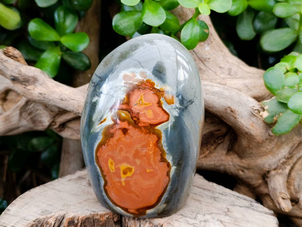 Polished Polychrome Jasper Standing Free Forms x 3 From NW Coast, Madagascar - Toprock Gemstones and Minerals 