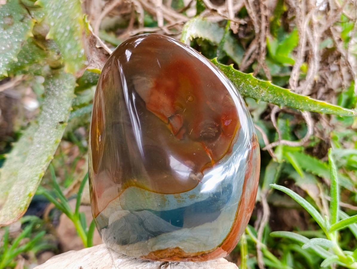 Polished Polychrome Jasper Standing Free Forms x 3 From NW Coast, Madagascar - Toprock Gemstones and Minerals 