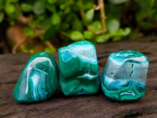 Polished Malacolla Free Forms x 35 From Kalukundi Mine, Congo