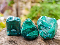 Polished Malacolla Free Forms x 35 From Kalukundi Mine, Congo