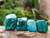 Polished Malacolla Free Forms x 35 From Kalukundi Mine, Congo