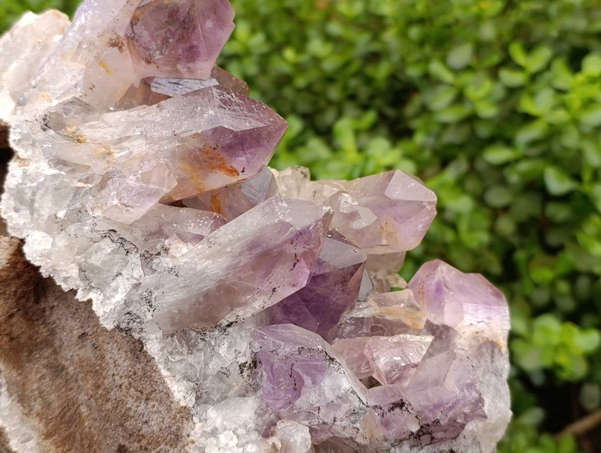 Natural Jacaranda Amethyst Quartz Crystal x 1 From Mumbwa, Zambia - Toprock Gemstones and Minerals 
