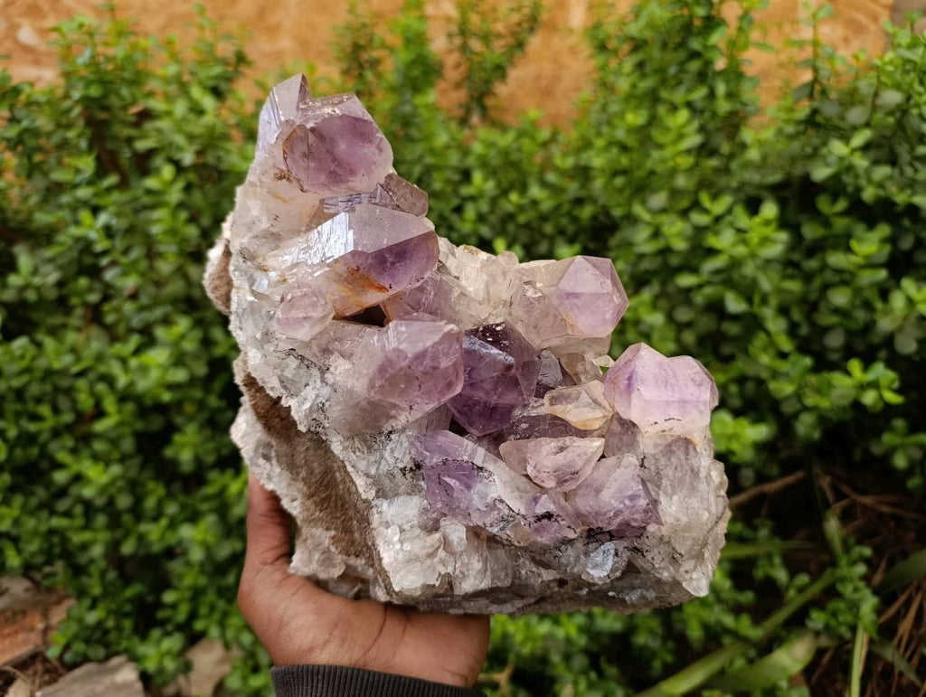 Natural Jacaranda Amethyst Quartz Crystal x 1 From Mumbwa, Zambia - Toprock Gemstones and Minerals 