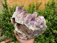 Natural Jacaranda Amethyst Quartz Crystal x 1 From Mumbwa, Zambia