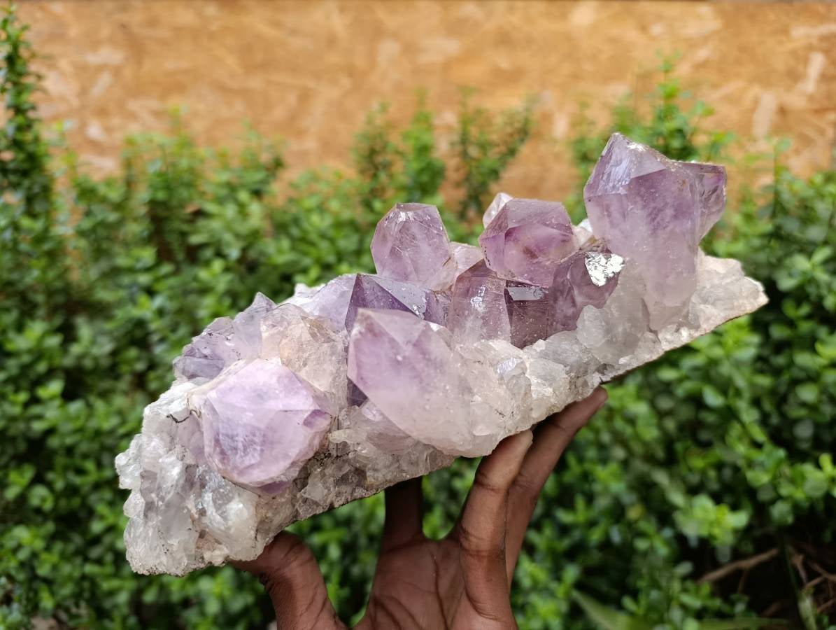 Natural Jacaranda Amethyst Quartz Crystal x 1 From Mumbwa, Zambia - Toprock Gemstones and Minerals 
