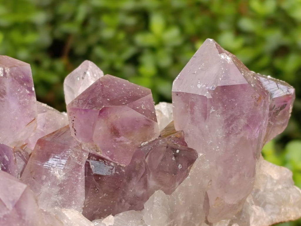 Natural Jacaranda Amethyst Quartz Crystal x 1 From Mumbwa, Zambia - Toprock Gemstones and Minerals 