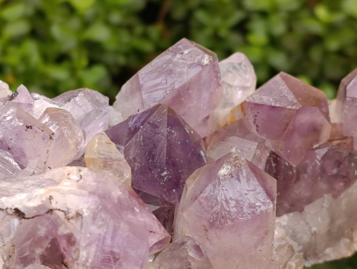 Natural Jacaranda Amethyst Quartz Crystal x 1 From Mumbwa, Zambia - Toprock Gemstones and Minerals 