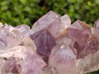 Natural Jacaranda Amethyst Quartz Crystal x 1 From Mumbwa, Zambia