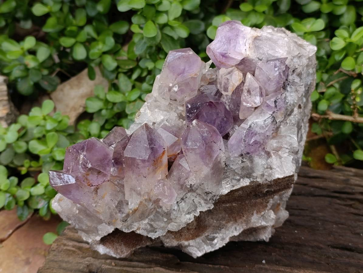 Natural Jacaranda Amethyst Quartz Crystal x 1 From Mumbwa, Zambia - Toprock Gemstones and Minerals 