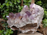 Natural Jacaranda Amethyst Quartz Crystal x 1 From Mumbwa, Zambia