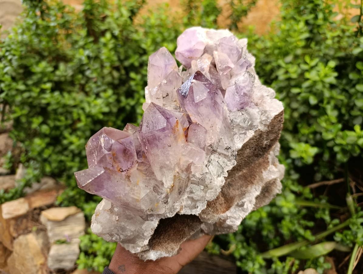 Natural Jacaranda Amethyst Quartz Crystal x 1 From Mumbwa, Zambia - Toprock Gemstones and Minerals 
