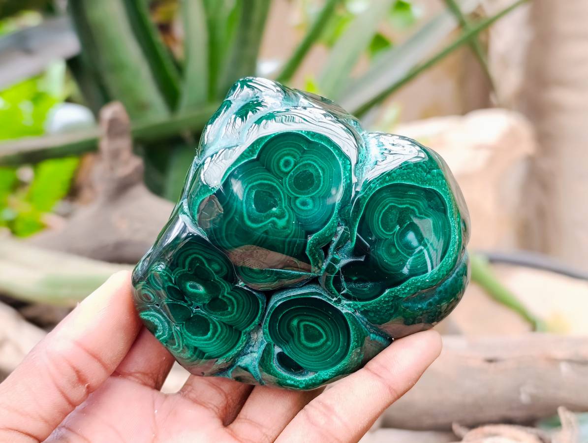 Polished Flower Banded Malachite Free Forms x 3 From Congo - Toprock Gemstones and Minerals 