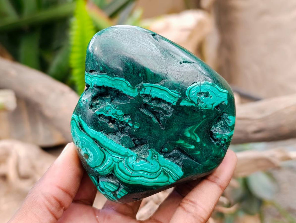 Polished Flower Banded Malachite Free Forms x 3 From Congo - Toprock Gemstones and Minerals 