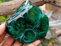Polished Flower Banded Malachite Free Forms x 3 From Congo