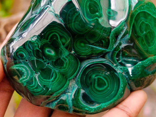 Polished Flower Banded Malachite Free Forms x 3 From Congo