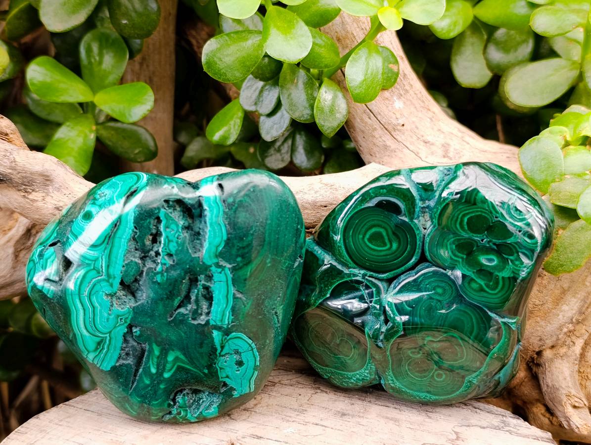Polished Flower Banded Malachite Free Forms x 3 From Congo - Toprock Gemstones and Minerals 