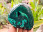 Polished Flower Banded Malachite Free Forms x 3 From Congo - Toprock Gemstones and Minerals 