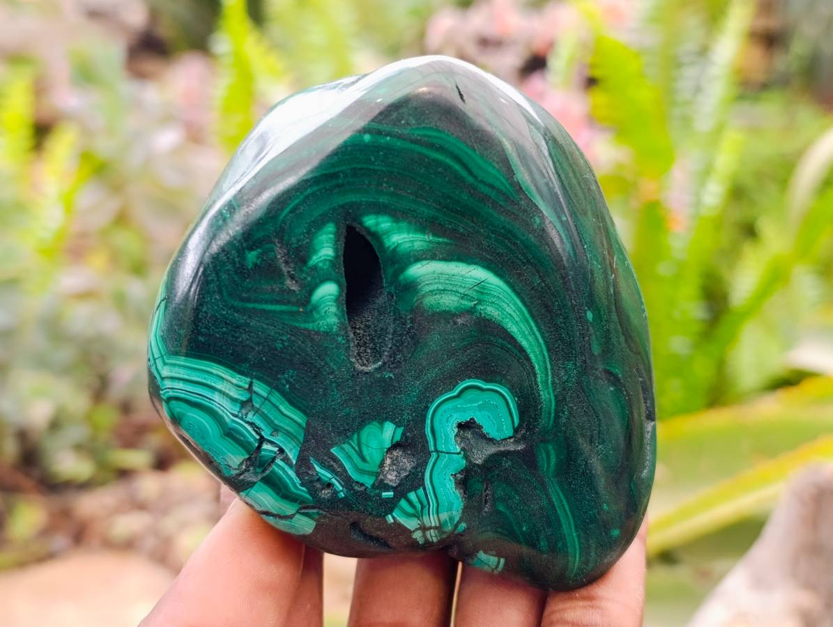 Polished Flower Banded Malachite Free Forms x 3 From Congo - Toprock Gemstones and Minerals 