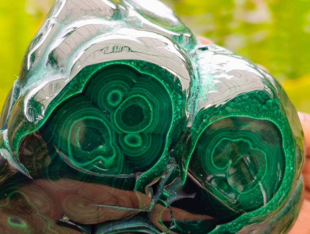 Polished Flower Banded Malachite Free Forms x 3 From Congo - Toprock Gemstones and Minerals 
