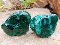 Polished Flower Banded Malachite Free Forms x 3 From Congo