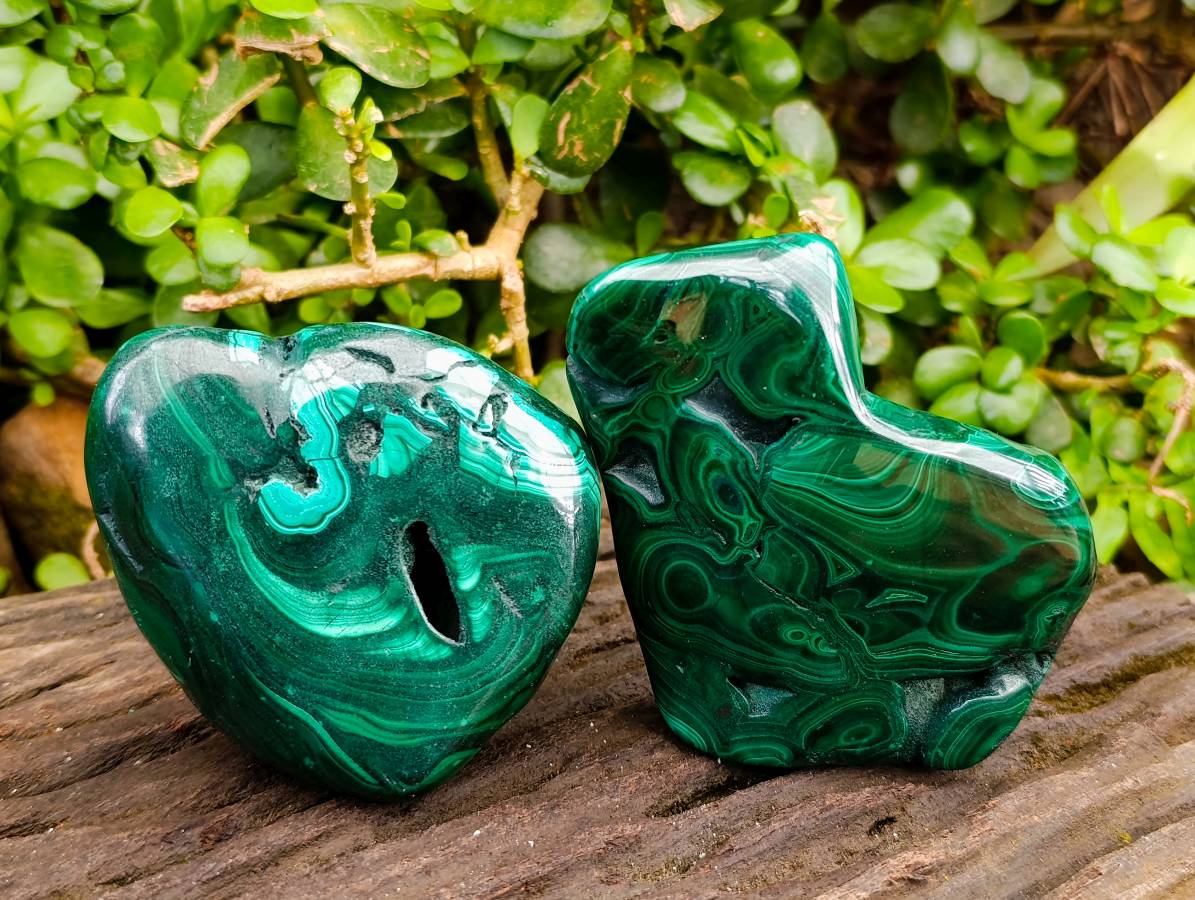 Polished Flower Banded Malachite Free Forms x 3 From Congo - Toprock Gemstones and Minerals 
