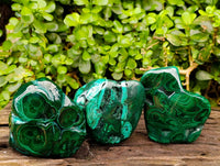 Polished Flower Banded Malachite Free Forms x 3 From Congo
