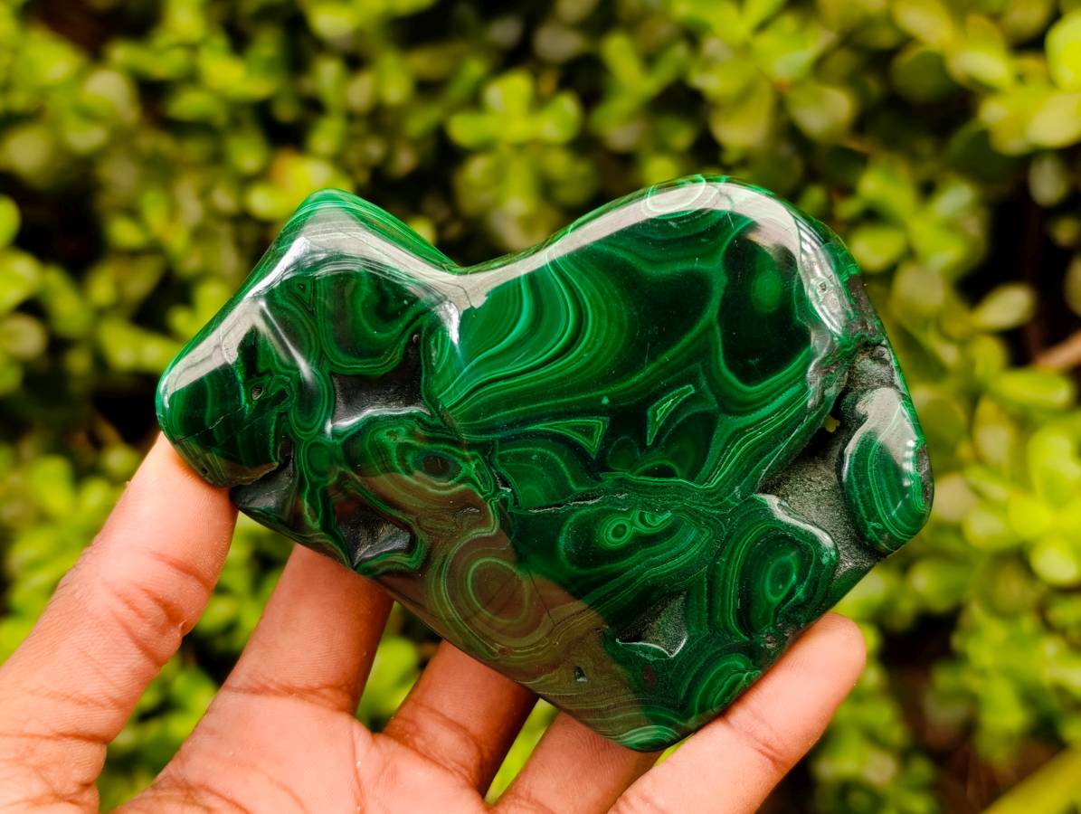 Polished Flower Banded Malachite Free Forms x 3 From Congo - Toprock Gemstones and Minerals 