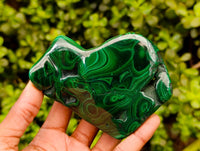 Polished Flower Banded Malachite Free Forms x 3 From Congo
