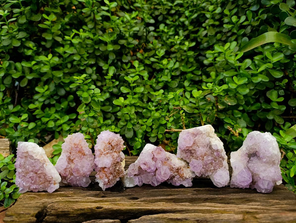 Natural Sunburst Amethyst Spirit Quartz Clusters x 6 From Boekenhouthoek, South Africa - Toprock Gemstones and Minerals 