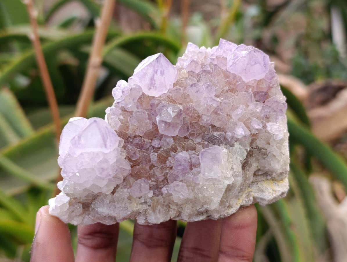 Natural Sunburst Amethyst Spirit Quartz Clusters x 6 From Boekenhouthoek, South Africa - Toprock Gemstones and Minerals 