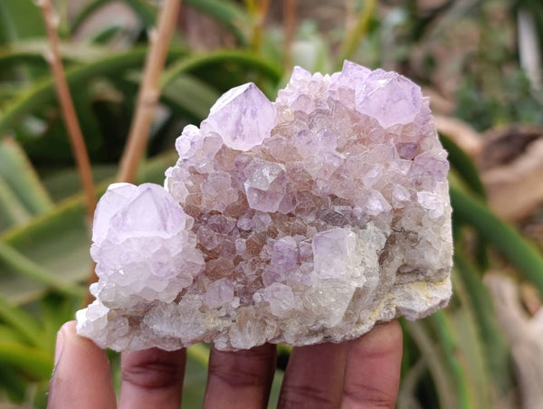 Natural Sunburst Amethyst Spirit Quartz Clusters x 6 From Boekenhouthoek, South Africa
