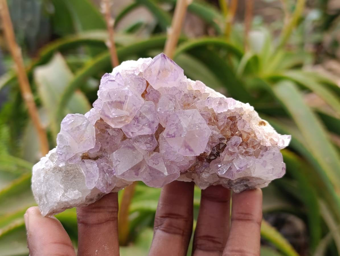 Natural Sunburst Amethyst Spirit Quartz Clusters x 6 From Boekenhouthoek, South Africa - Toprock Gemstones and Minerals 
