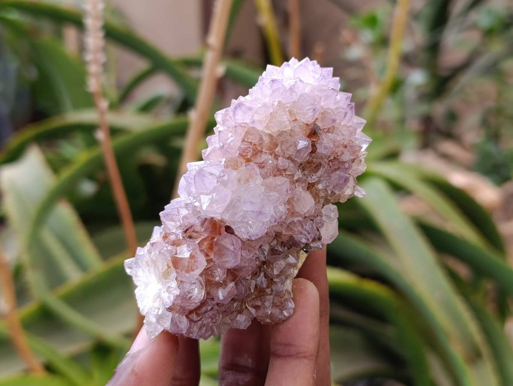 Natural Sunburst Amethyst Spirit Quartz Clusters x 6 From Boekenhouthoek, South Africa - Toprock Gemstones and Minerals 