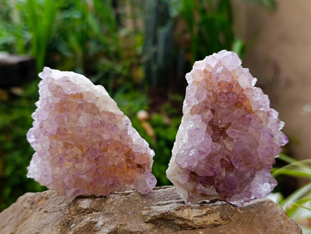 Natural Sunburst Amethyst Spirit Quartz Clusters x 6 From Boekenhouthoek, South Africa - Toprock Gemstones and Minerals 