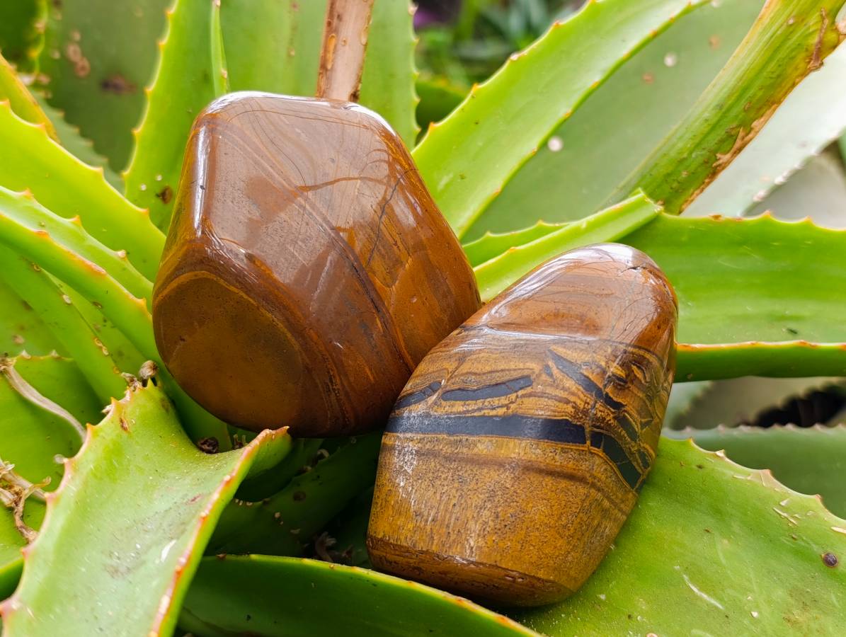 Polished Banded Tiger Iron with Tigers Eye Free Forms x 6 From South Africa - Toprock Gemstones and Minerals 