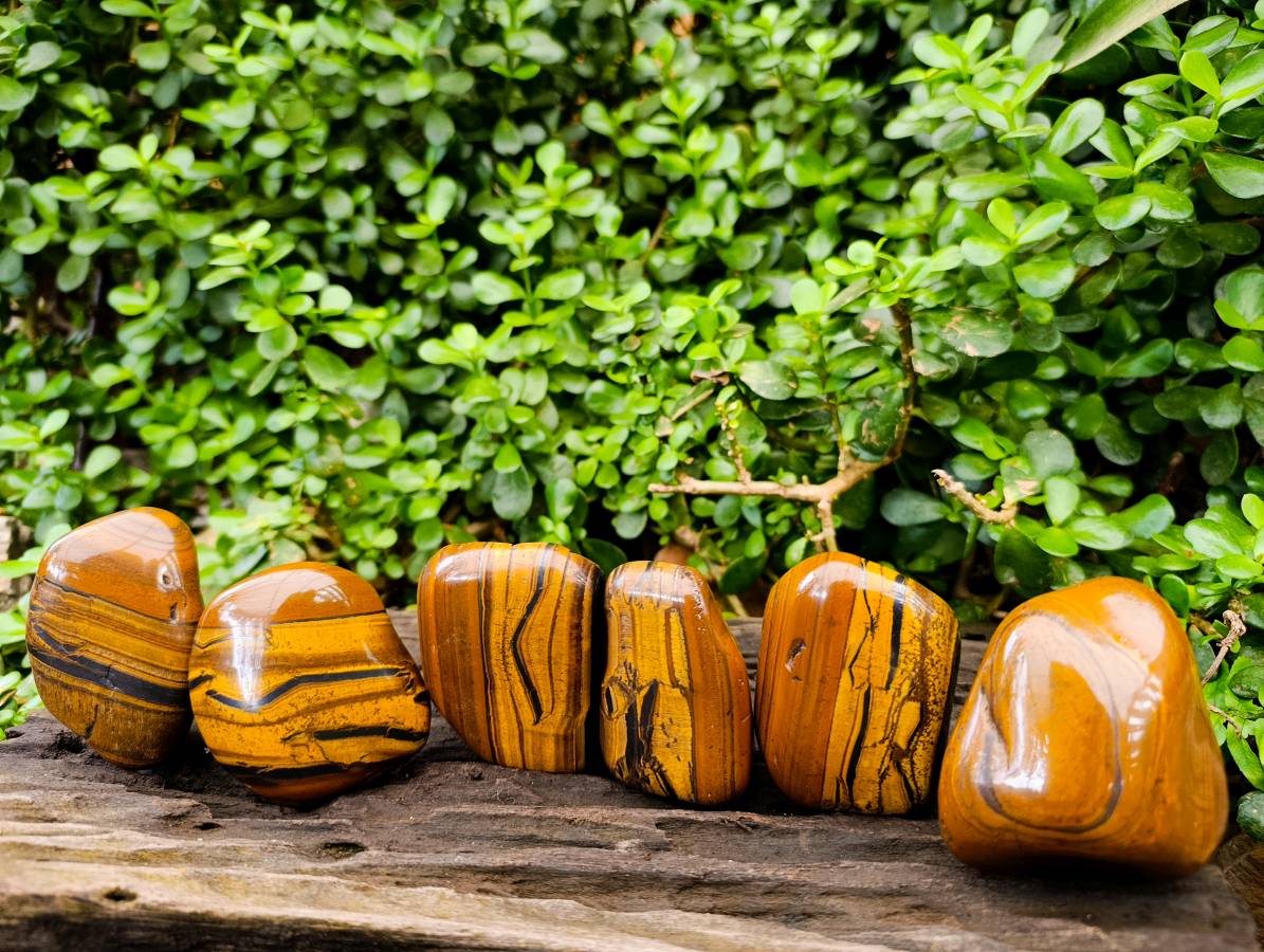Polished Banded Tiger Iron with Tigers Eye Free Forms x 6 From South Africa - Toprock Gemstones and Minerals 