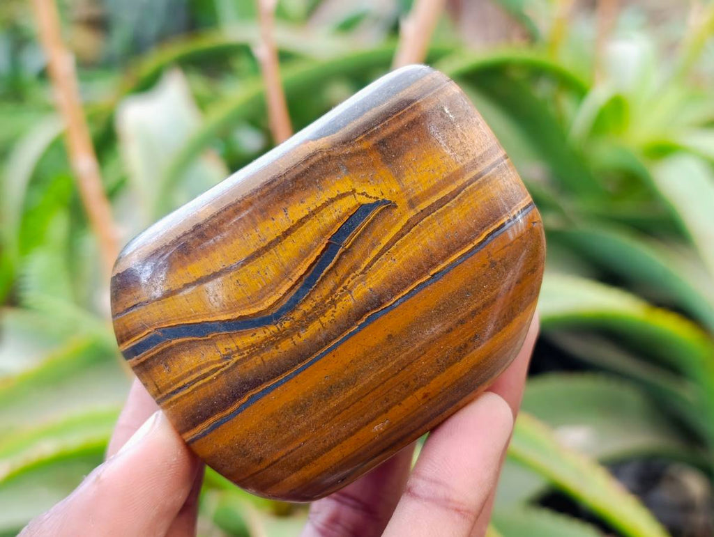 Polished Banded Tiger Iron with Tigers Eye Free Forms x 6 From South Africa - Toprock Gemstones and Minerals 