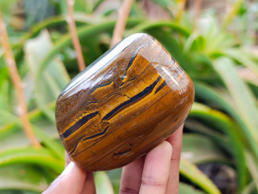 Polished Banded Tiger Iron with Tigers Eye Free Forms x 6 From South Africa - Toprock Gemstones and Minerals 